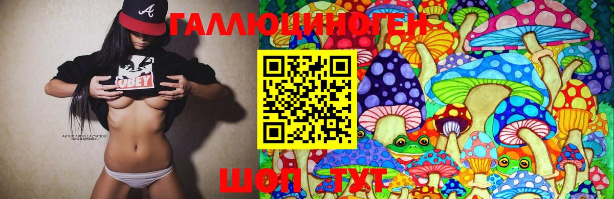 Баксан  Псилоцибиновые грибы мухоморы  Вход с VPN 